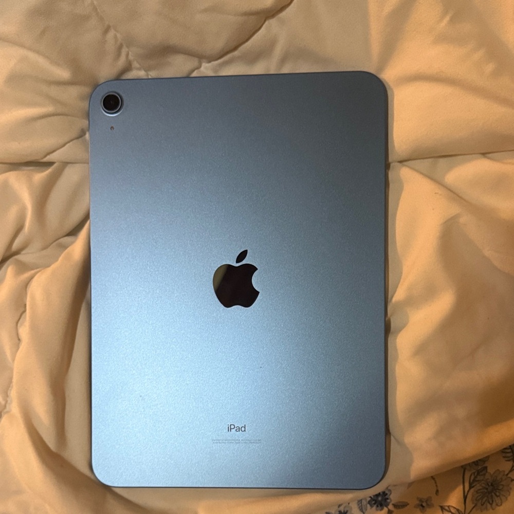 Apple iPad in Elegant Blue